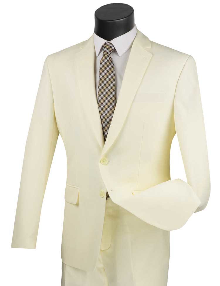 Budget Collection Regular Fit Single Breasted Suit 2PP – Vinci Suits